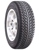Nexen Winguard