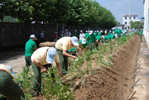 Yokohama сажает деревья в Китае.