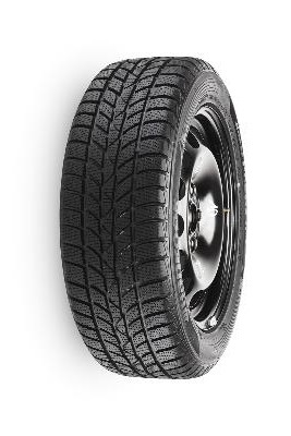 Hankook Winter i*cept RS W442