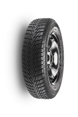 Continental ContiWinterContact TS800