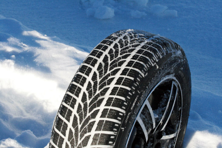 Star Performer Winter AS