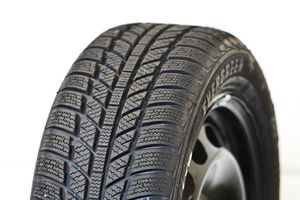 Evergreen Winter EW 62 Radial