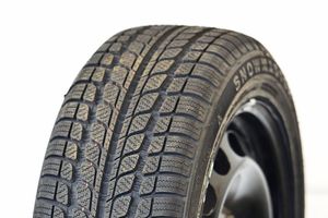 Sunny Snowmaster SN3830