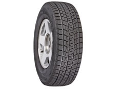 Bridgestone Blizzak DM-V1