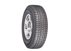  Firestone Destination LE