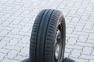 Dunlop Sport BluResponse