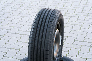 Vredestein Sportrac 5