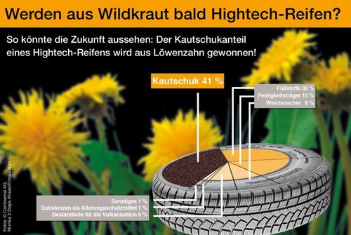 Каучук из одуванчиков - технология Continental 