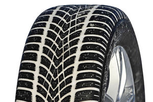 тест Dunlop SP Winter Sport 4D