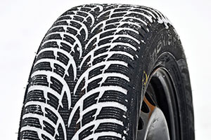 Nokian WR D3