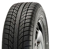 GT Radial Champiro WinterPro