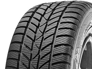 Hankook Winter i*cept RS (W442)