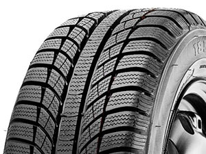 GT Radial Champiro WinterPro