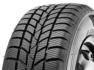 Hankook Winter i*cept RS (W442)