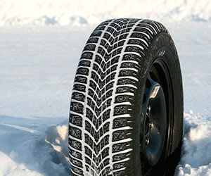 Dunlop SP Winter Sport 4D