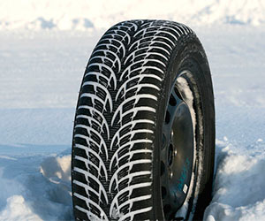 Nokian WR D3