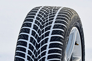 Dunlop SP Winter Sport 4D