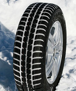 Matador Adhessa Evo MP 61