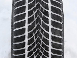 Dunlop SP Winter Sport 4D