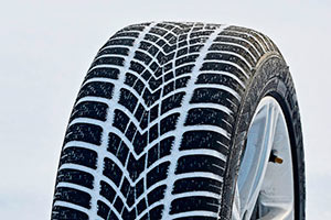 Dunlop SP Winter Sport 4D