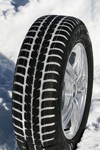 Matador Adhessa Evo MP 61