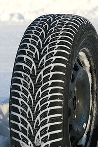 Nokian WR D3