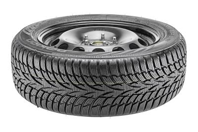 Nokian WR D3