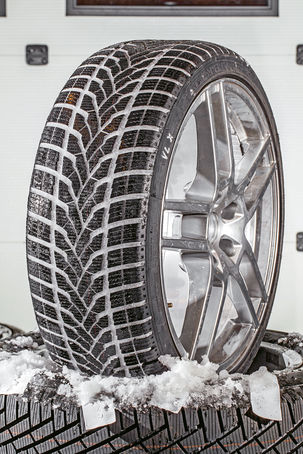 Star Performer Winter SPTS AS