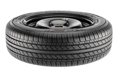 GT Radial Champiro VP1