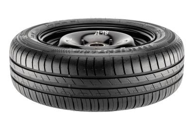 Goodyear EfficientGrip Performance