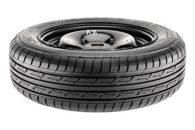 Nankang Green- Sport Eco-2+