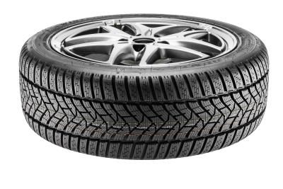 Dunlop Winter Sport 5