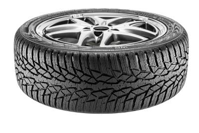 Nokian WR D4 XL
