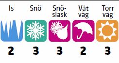  Bridgestone Blizzak WS70