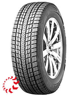 ROADSTONE Winguard Ice SUV