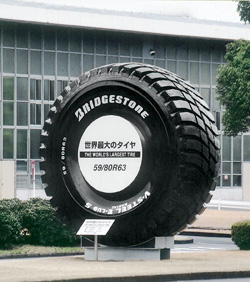 Рыбное блюдо (Новинки от Bridgestone)