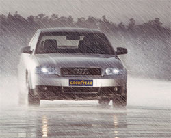 Хватка Гидры