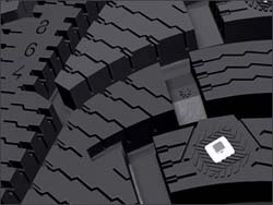 «Медвежий коготь» Хаккапелийтты